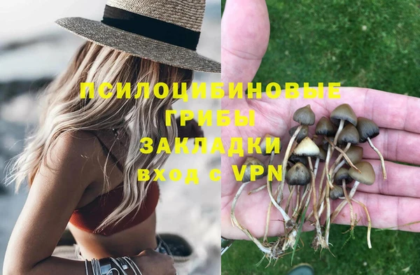 прущая мука Костерёво