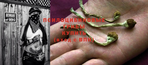 крисы Коряжма